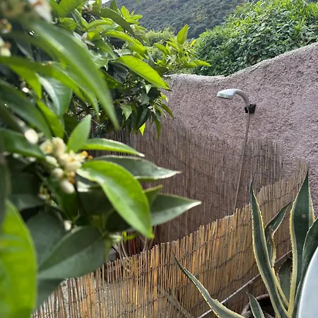 Ferienhaus Mazet Tres Calme, Dans La Colline, 10 Mins A Pied Le Lavandou